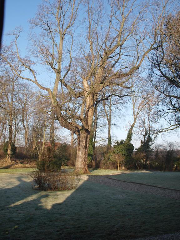 Bed & Breakfast Buitenplaats