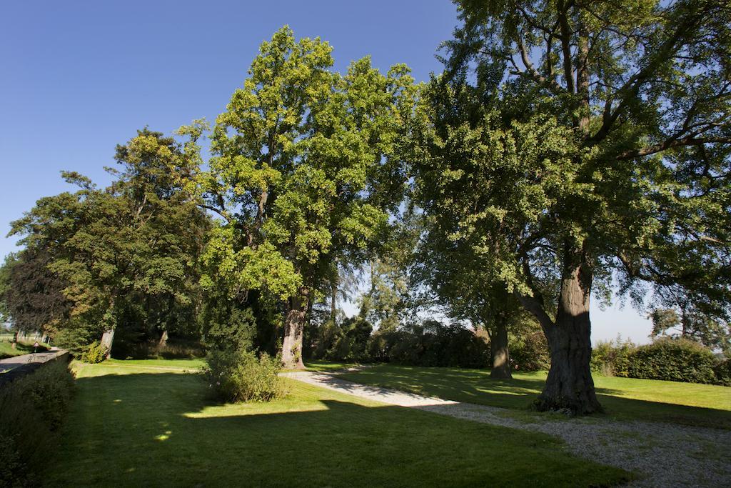 Bed & Breakfast Buitenplaats 3*